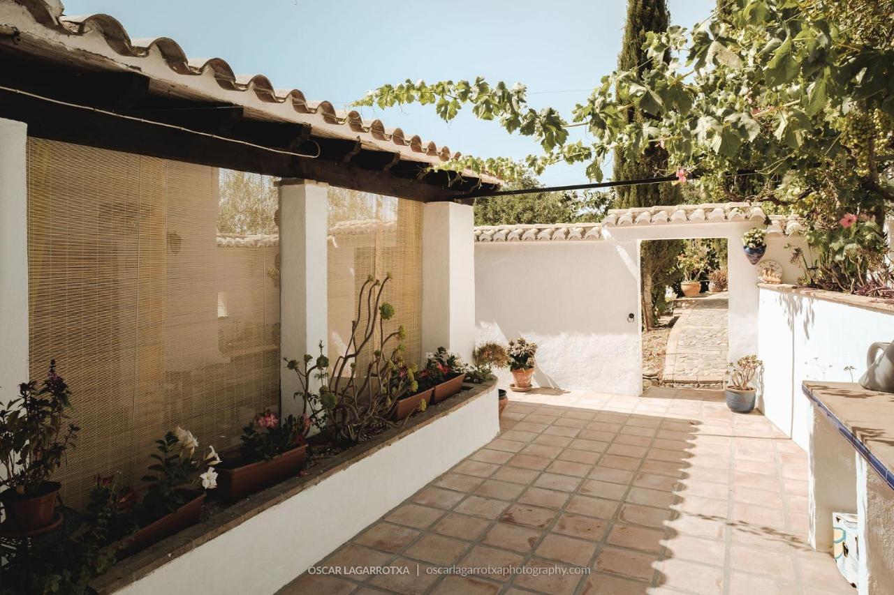 B&B Cortijo Loma Leon Cutar Exterior photo